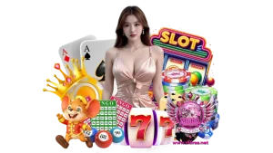 mlira วอเลท